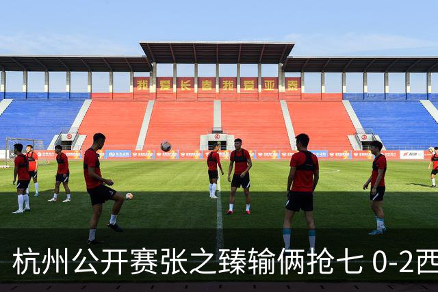 杭州公开赛张之臻输俩抢七 0-2西里奇收获亚军